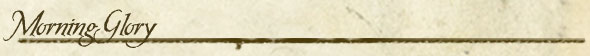 Morning Glory